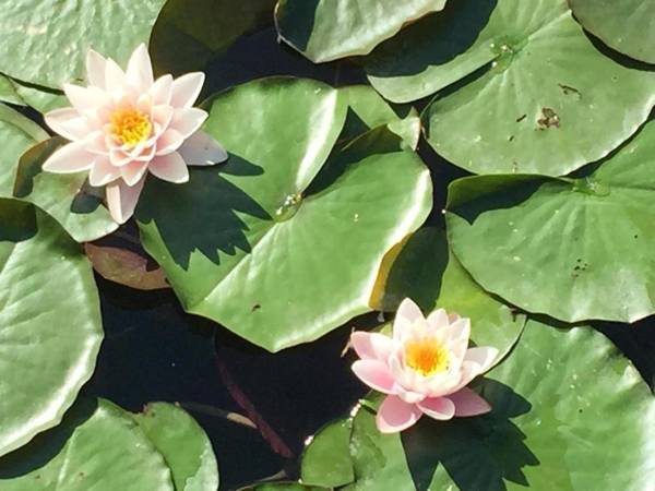 Lieblingsplatzl - Das Apartmenthaus