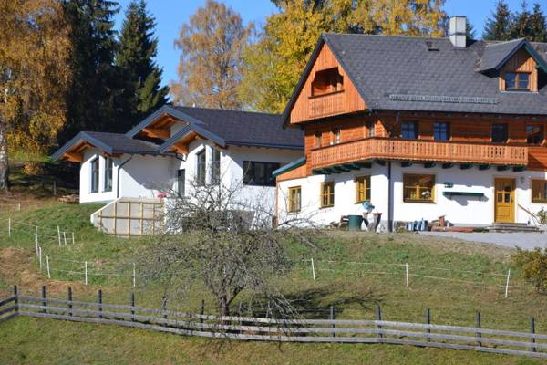 Ski In/Ski Out Appartement das kleine Bleiberger by Schladmingurlaub