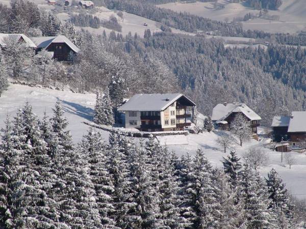 Cozy Apartment in Afritz am See near Gerlitzen Ski Area