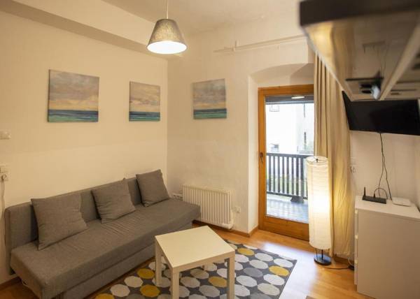 Hall Deluxe City Apartment