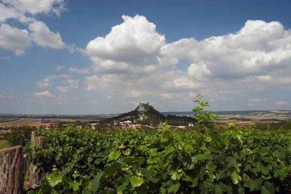 Weinbauernhof Vier Jahreszeiten