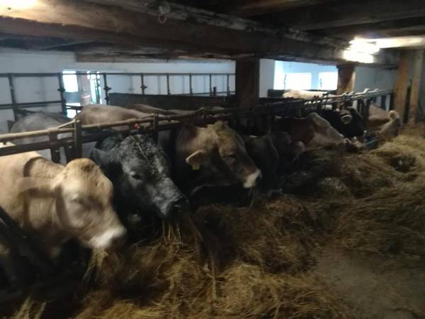 Familienbauernhof Imitz Ferienwohnung