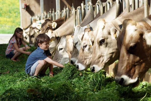 Ferienbauernhof Schneider