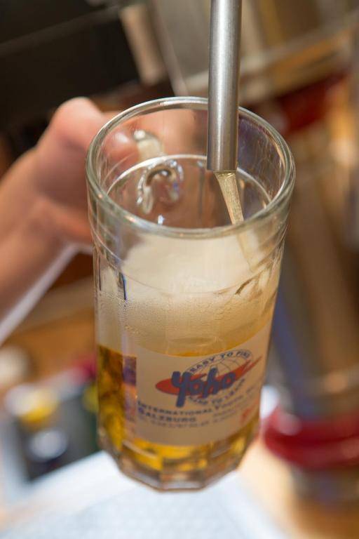 YoHo - International Youth Hostel