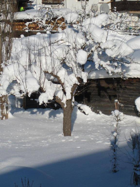 Ferienwohnung Kathrein