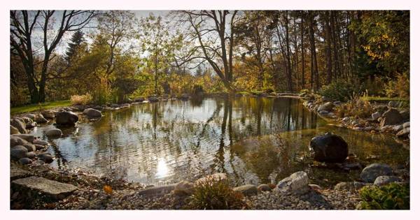 Der Knappenhof - Hotel & Restaurant