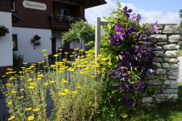 Alpenblick Apartments