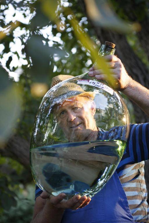 Naturparkbauernhof Pöltl