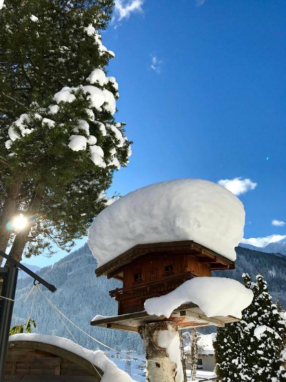 Adlers Apartments Arlberg