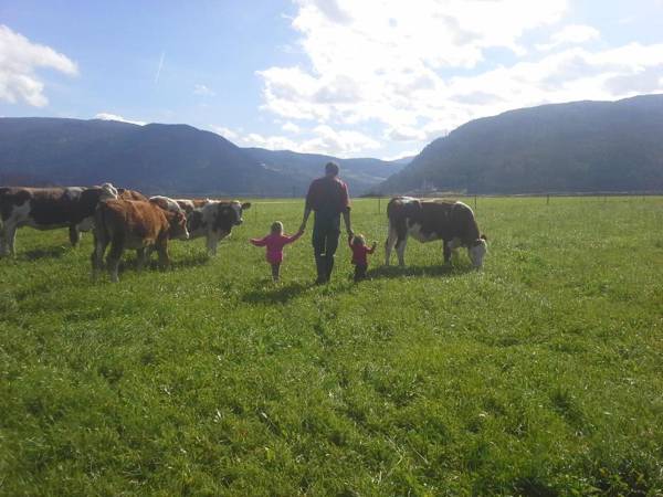 Bio Bauernhof Schoberhof