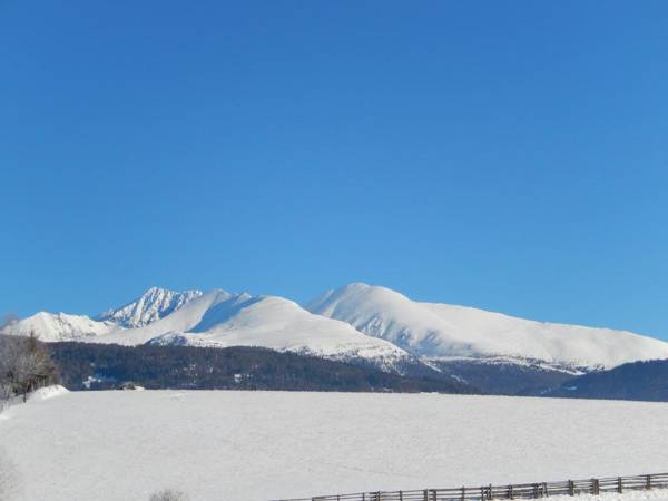 AlpenChalet Mitterberg
