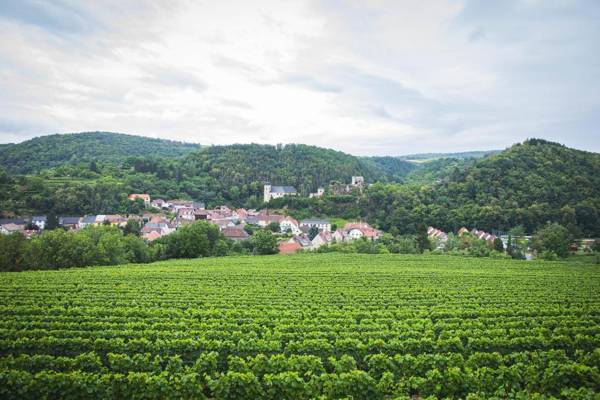 Goldberg Appartement