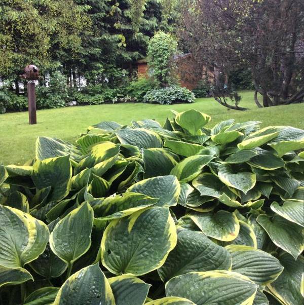 Ferienwohnungen Familie Wetzlinger