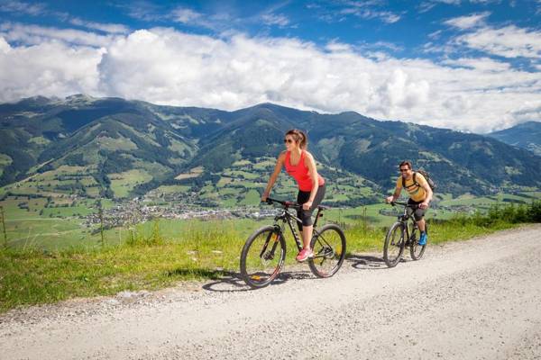 Komfort Appartements serviced by Auhof