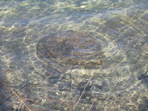 Bauernhof Unterhöfner