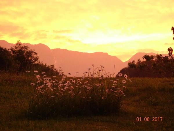 Ferienwohnung Löffelberger