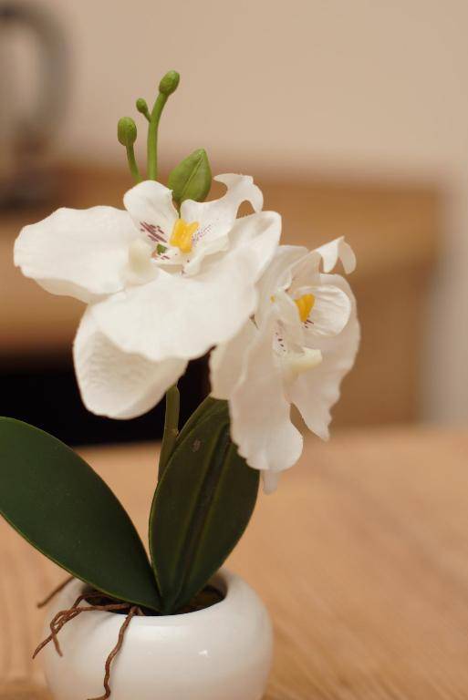 Der Marienhof Hotel Garni