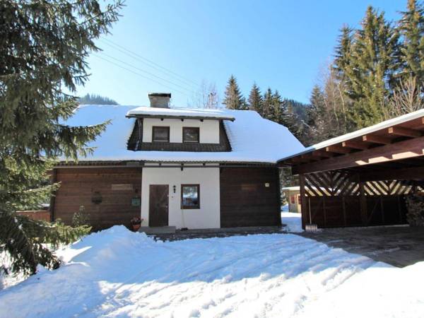 Very spacious detached holiday home in Carinthia near skiing areas and lakes