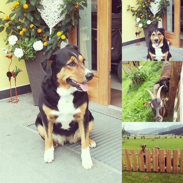 Bauernhof Unterbichl