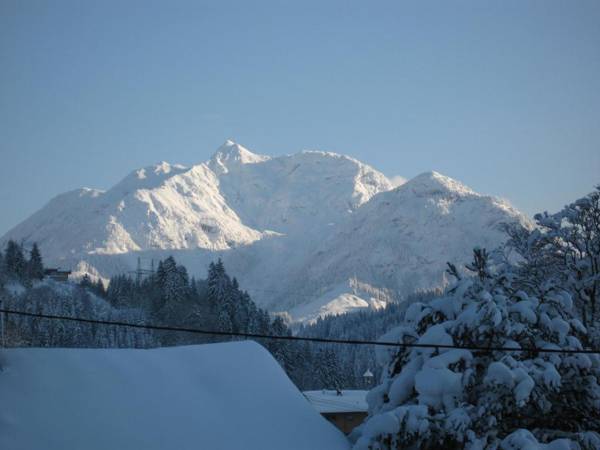 Ferienwohnung Johann Niedermoser