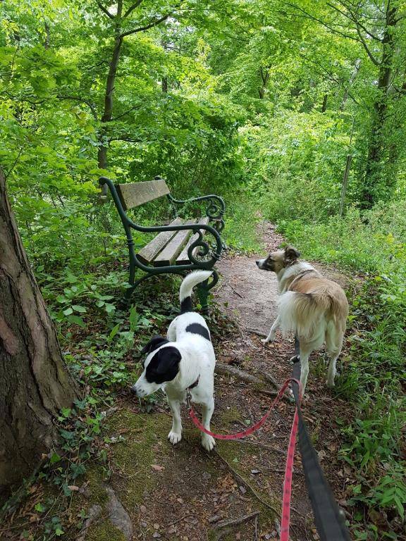 Landhaus FühlDichWohl