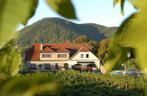 Weingut-Pension Stockingerhof