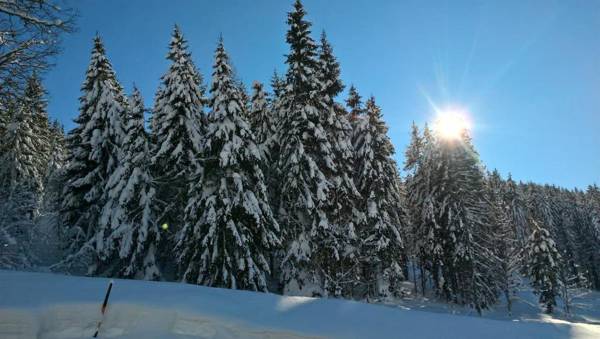 Das Hochkönig