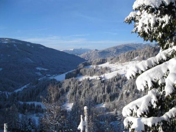 Ferienwohnung Lahnerhof