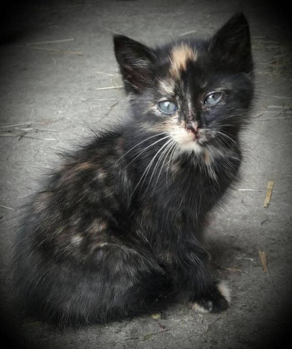 Romantische Appartements Sinnhubbauer