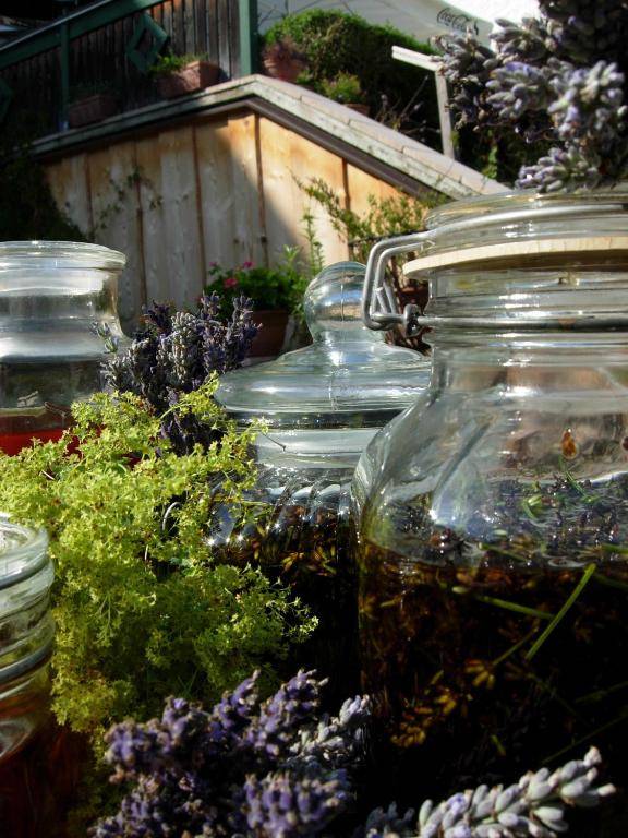 Bärnsteinhof - Gasthof mit Herz