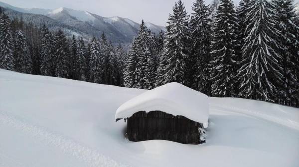 Stammhaus Wolf im Hotel Alpine Palace