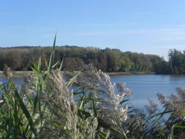 Apartments Haus Morgensonne