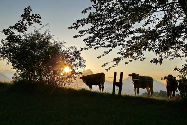 Ferienwohnung Pyhrgasblick