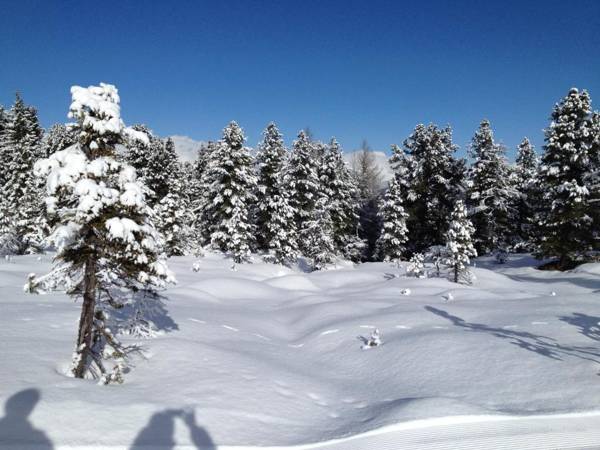 Wohlfühlappartement Kreischberg