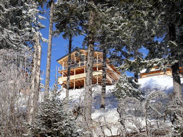 Luxurious Chalet in Klippitztörl with Sauna