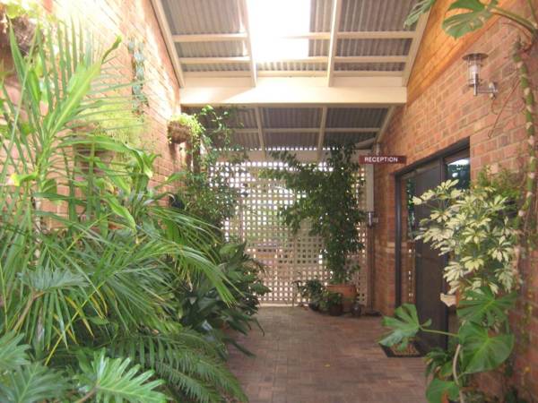 Edge Of The Forest Motel