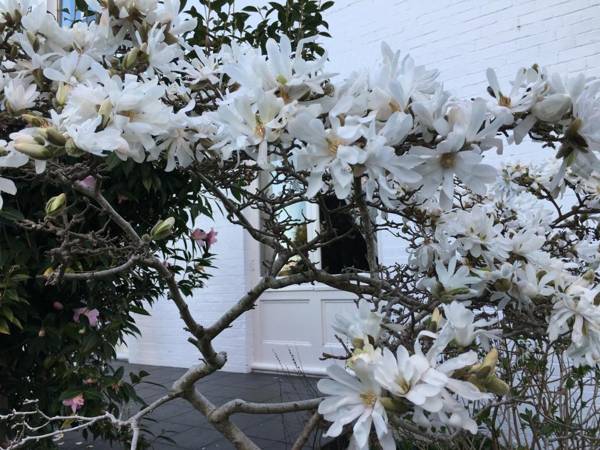 Boscobel of Tasmania