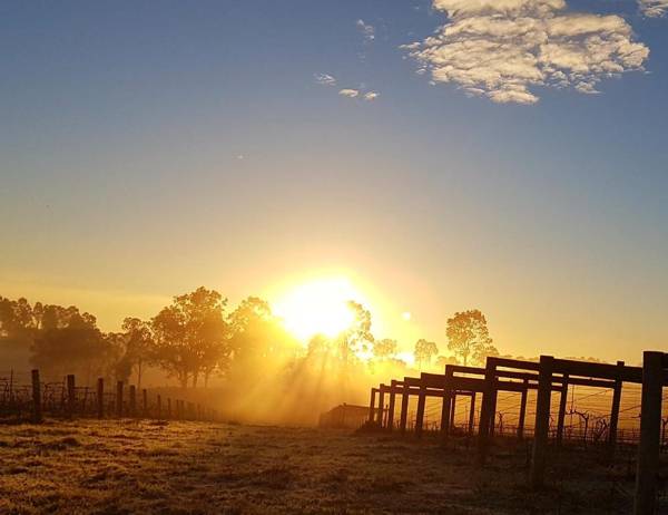 Red Door Collective - RDC Estate