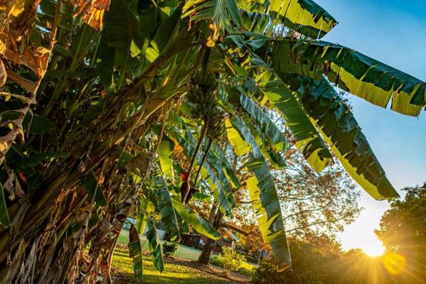 Birds 'n' Bloom Cottages