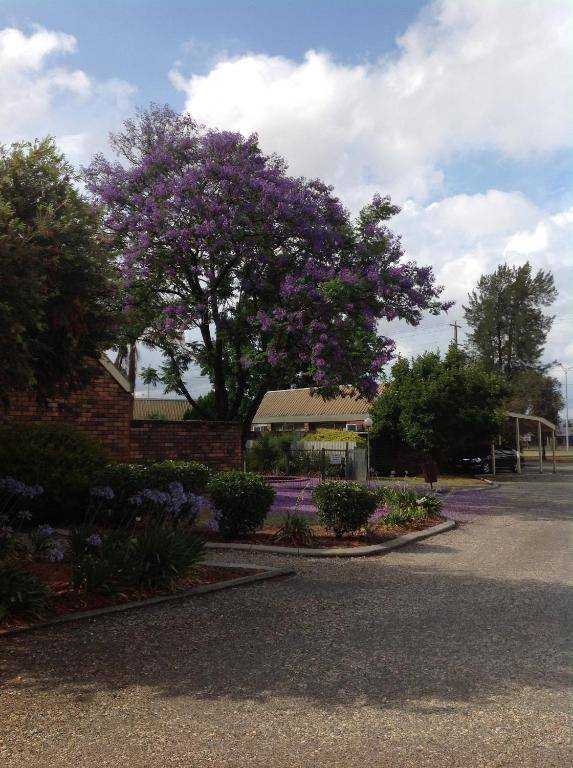 Belvoir Village Motel & Apartments Wodonga