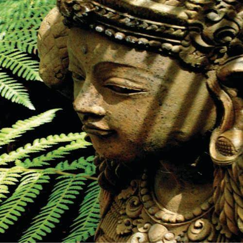 Forget Me Not Cottages