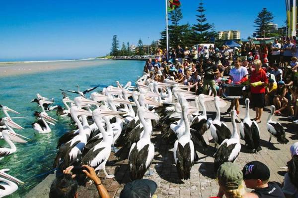 Beach and Ocean Front Penthouse with Wifi and Parking