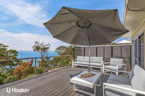 Osprey at Nelson Bay