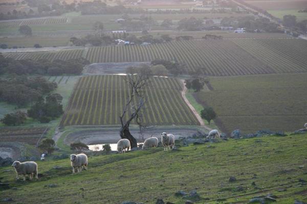 Barossa Vineyard Cottages