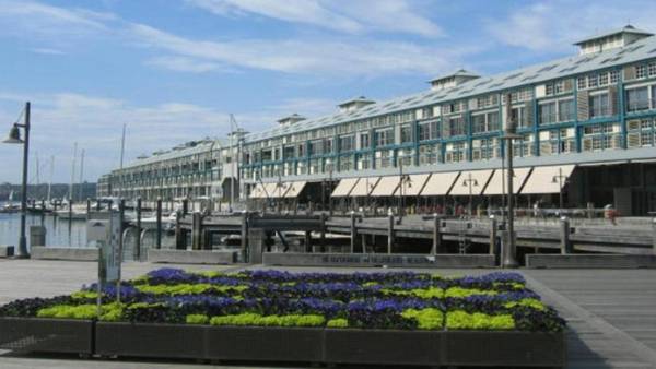 Harbour Fringe Apartment