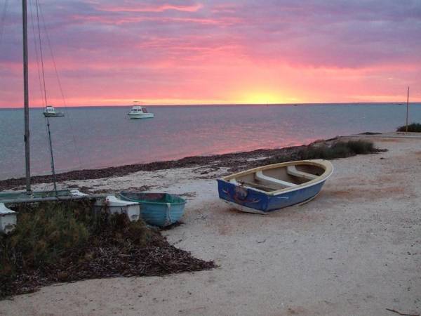 Wildsights Beach Units