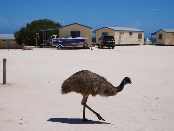 Denham Seaside Caravan Park