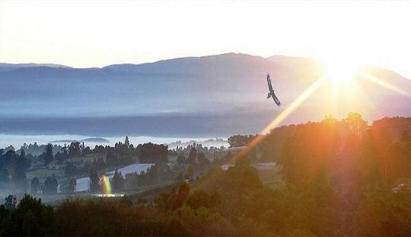 Eagle's View Cottage - Yarra Valley