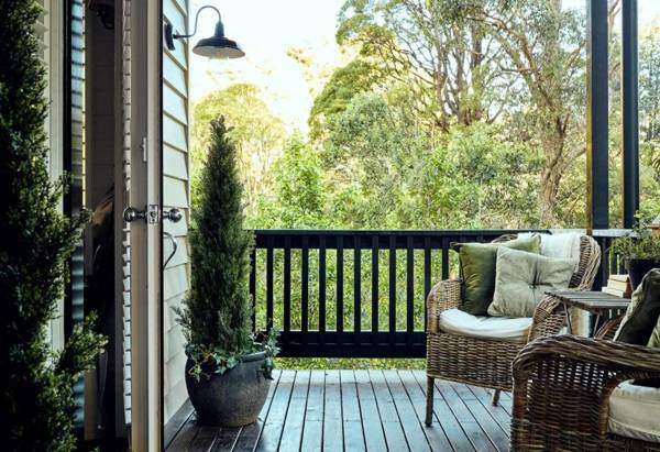 The Blackwood Sassafras