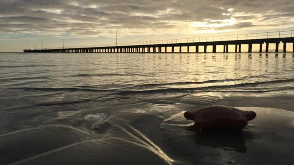 Aquabelle Apartments